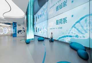 广东盘扣脚手架应用